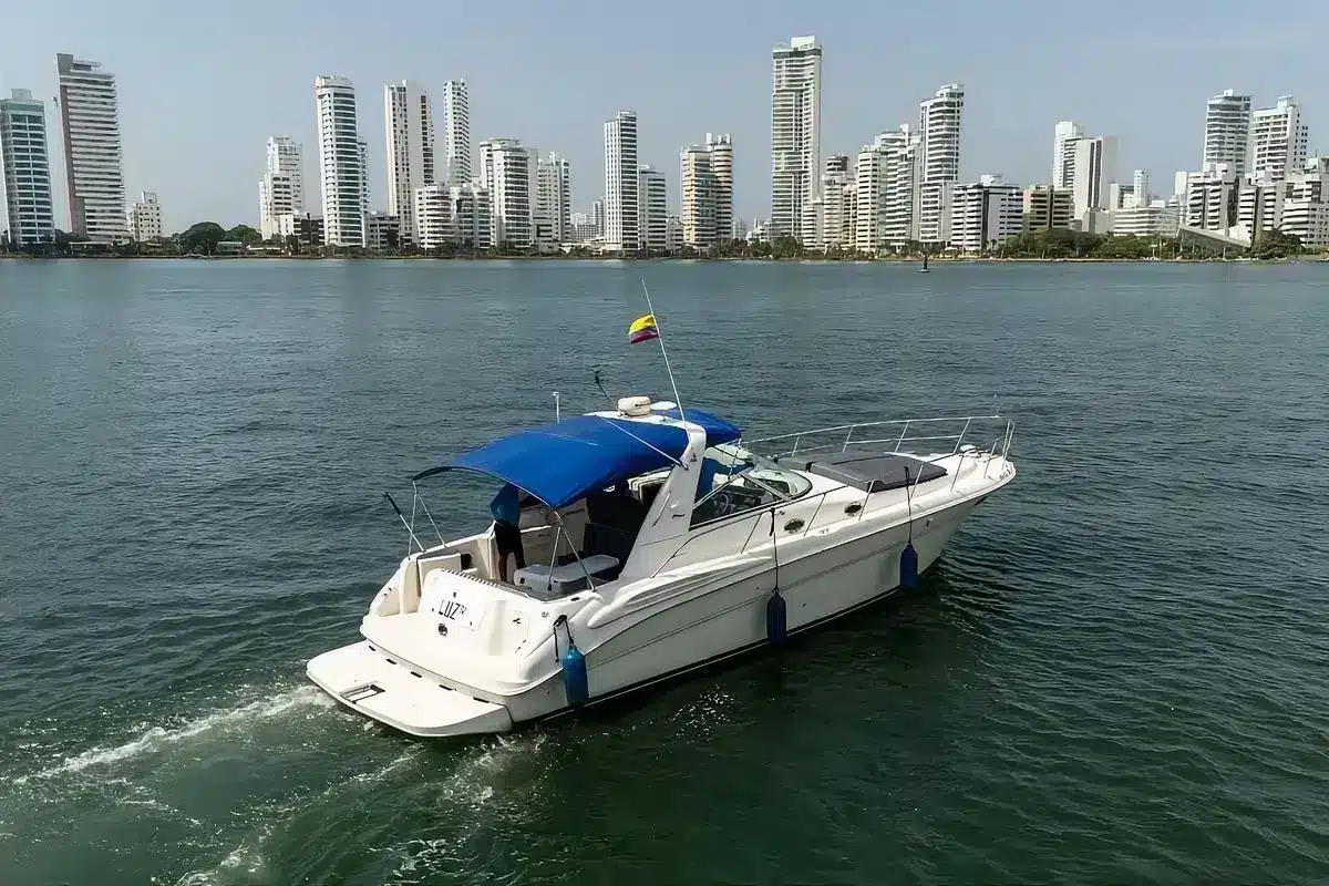 Yate Luz IV